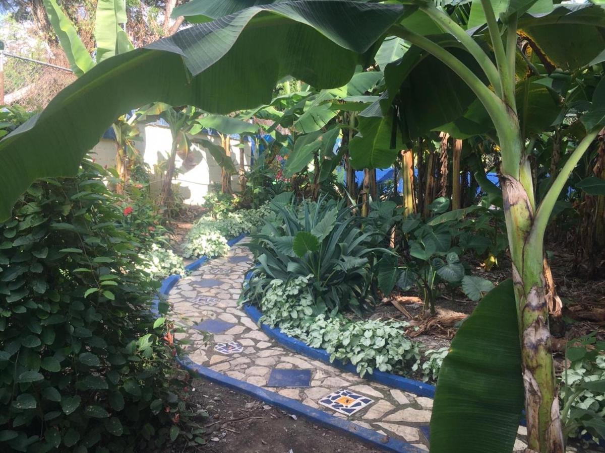 Sana El Jardin Secreto Vandrehjem Santiago De Los Caballeros Eksteriør billede